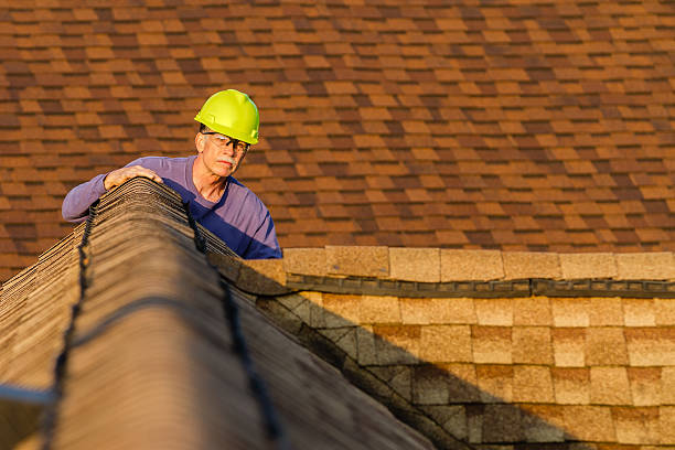 Best Roof Gutter Cleaning  in Pecan Acres, TX